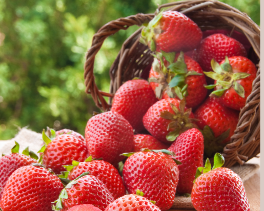 Simply Strawberry Lassi Lip Balm